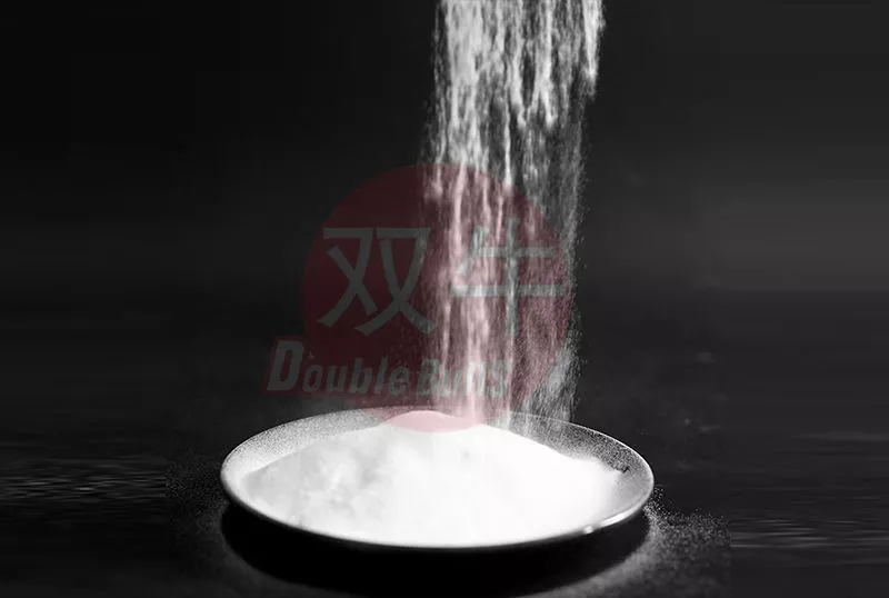 Re-dispersible Polymer Powder (RDP)